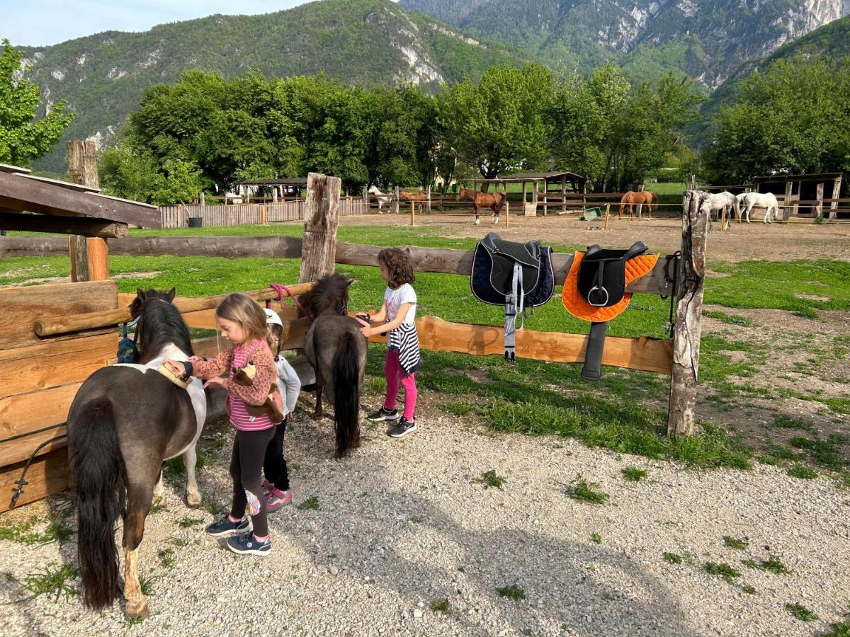 Agritur Airone Bed & Camping Levico Terme Buitenkant foto