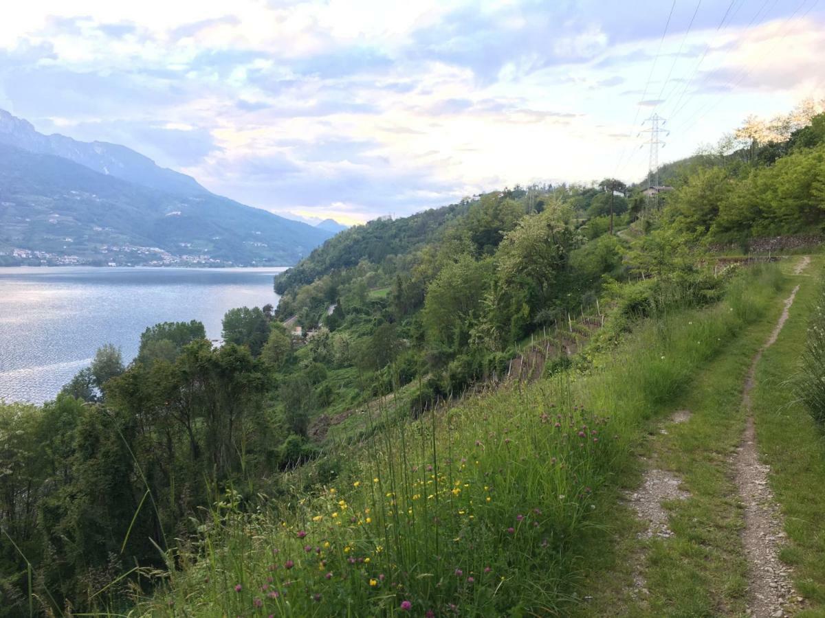 Agritur Airone Bed & Camping Levico Terme Buitenkant foto